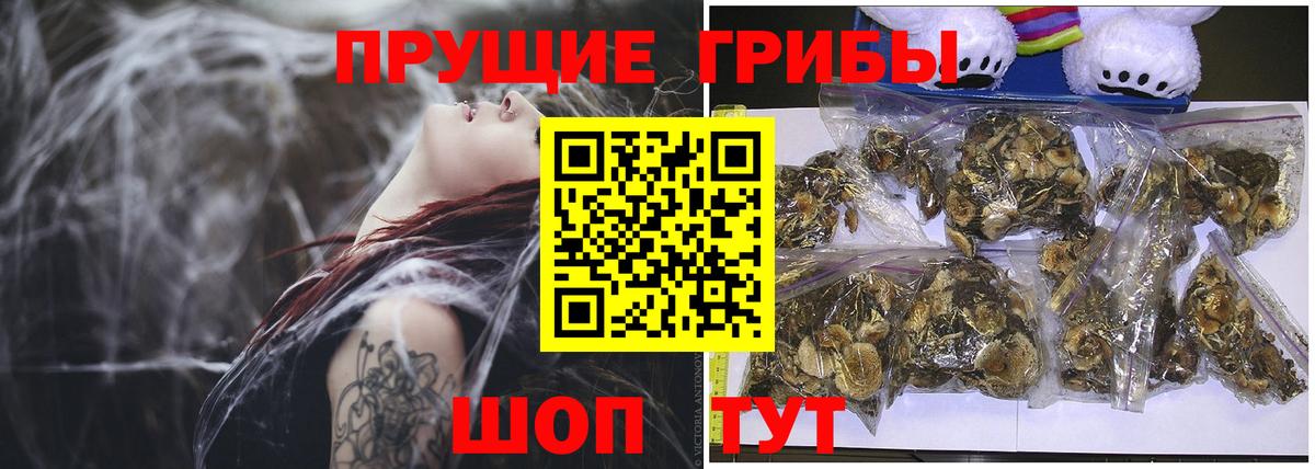 Тихвин  Галлюциногенные грибы Magic Shrooms  Вход с VPN 